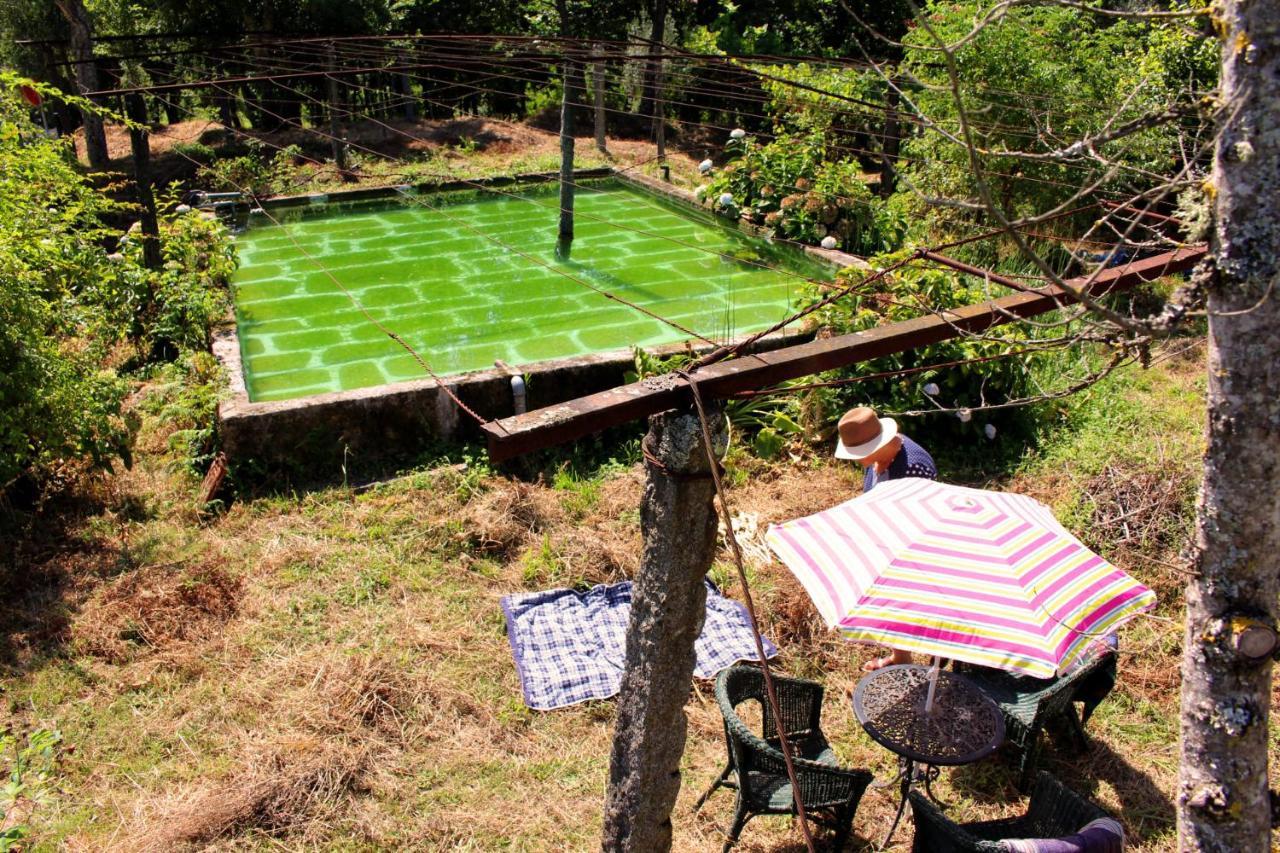 Gasthaus Chale Da Quinta "Lavoura Da Bouca - Fruta Bio" Celorico De Basto Exterior foto