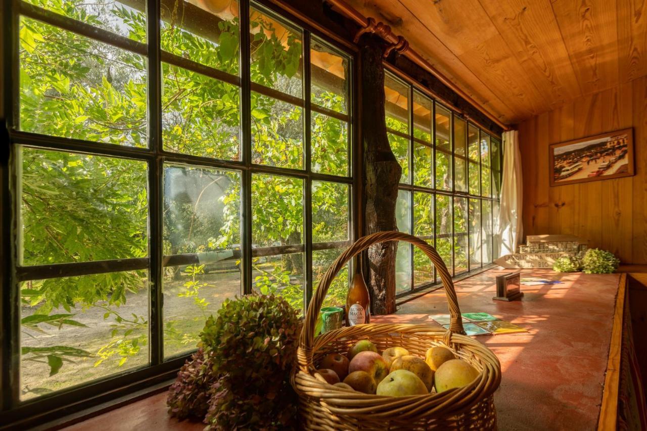 Gasthaus Chale Da Quinta "Lavoura Da Bouca - Fruta Bio" Celorico De Basto Exterior foto