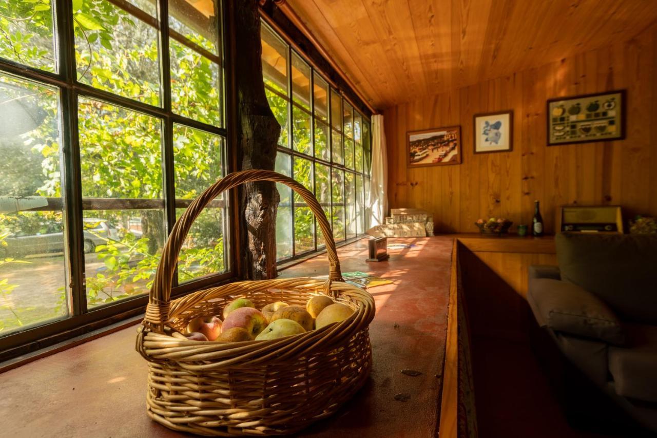Gasthaus Chale Da Quinta "Lavoura Da Bouca - Fruta Bio" Celorico De Basto Exterior foto