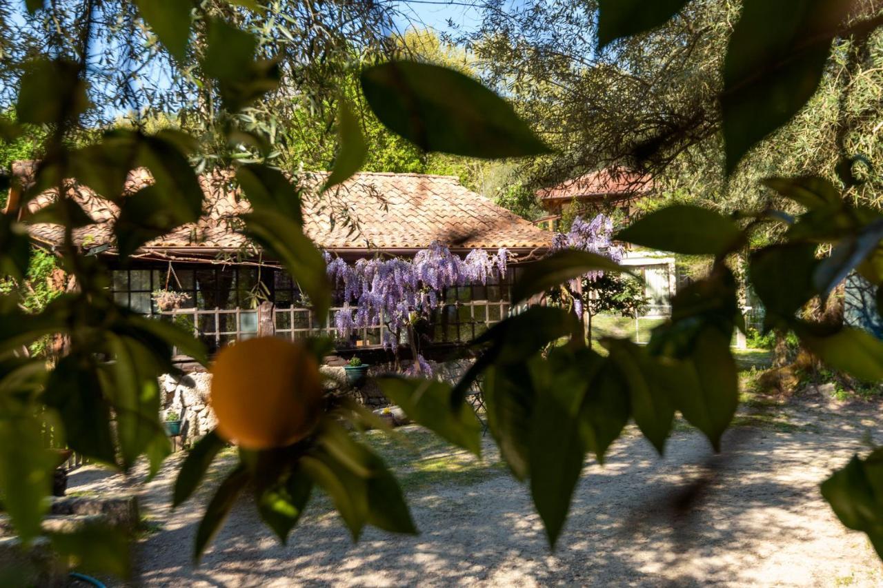 Gasthaus Chale Da Quinta "Lavoura Da Bouca - Fruta Bio" Celorico De Basto Exterior foto