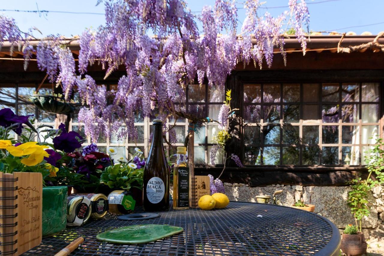 Gasthaus Chale Da Quinta "Lavoura Da Bouca - Fruta Bio" Celorico De Basto Exterior foto