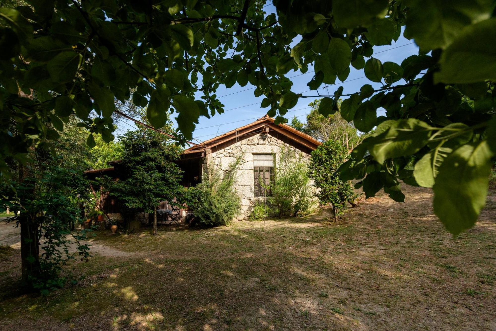 Gasthaus Chale Da Quinta "Lavoura Da Bouca - Fruta Bio" Celorico De Basto Exterior foto