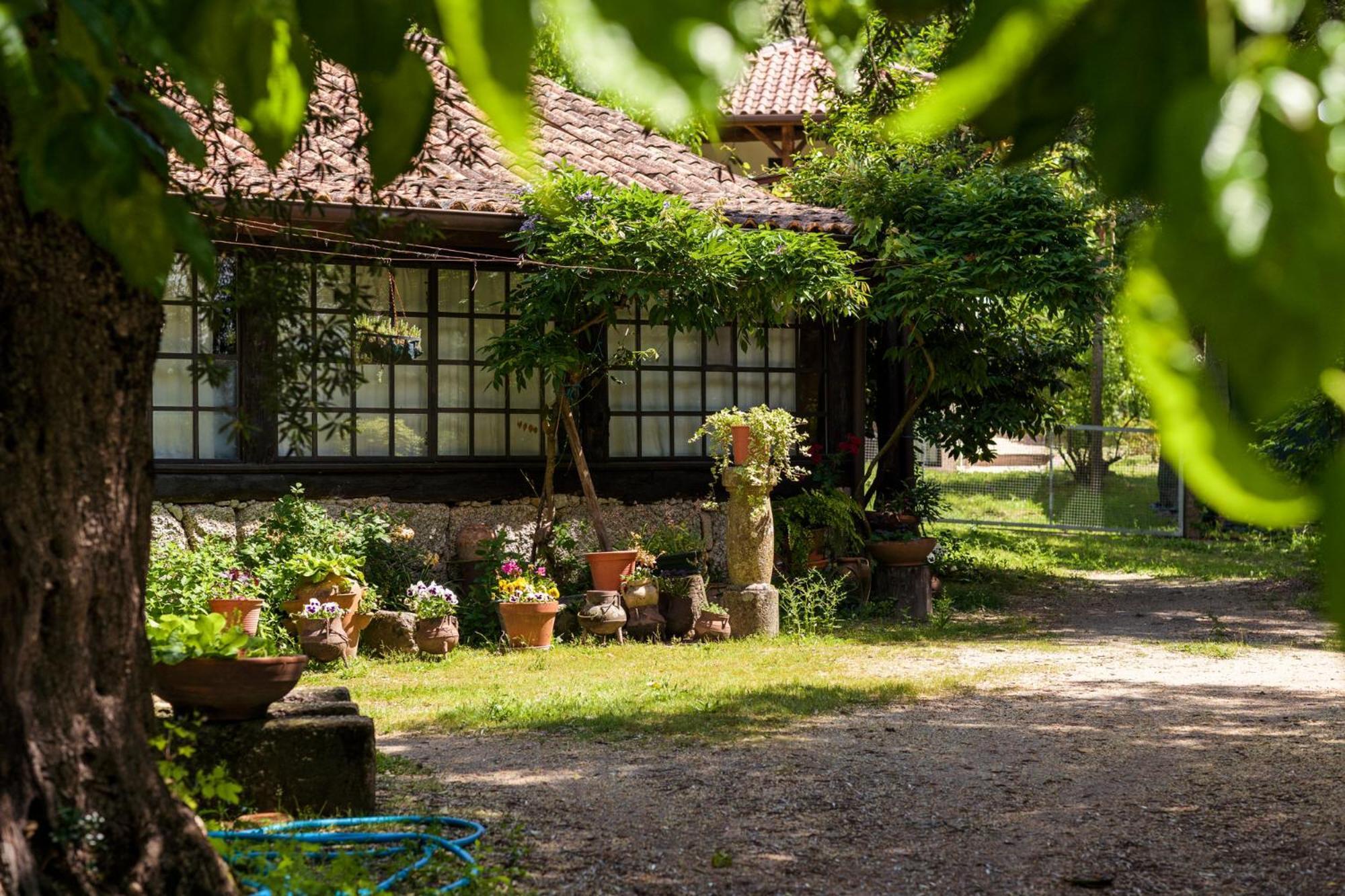 Gasthaus Chale Da Quinta "Lavoura Da Bouca - Fruta Bio" Celorico De Basto Exterior foto